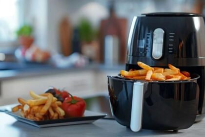 Receitas para air fryer