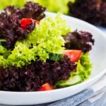 Mostra alface verde e roxa num prato em cima da mesa.