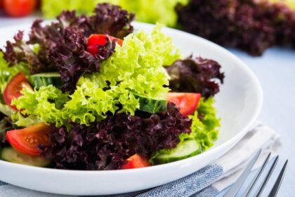 Mostra alface verde e roxa num prato em cima da mesa.
