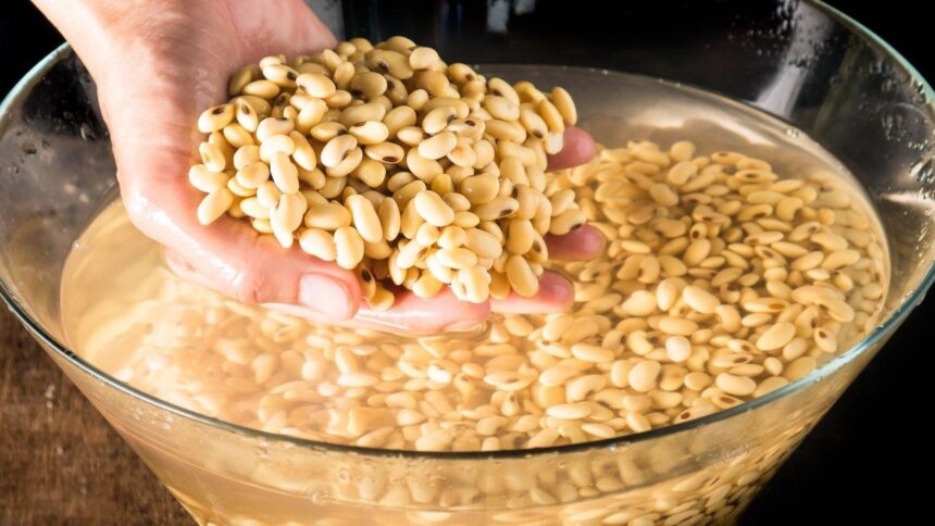 Fotografia de um feijão de molho