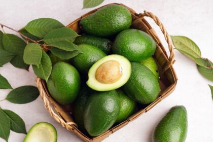 Imagem de vários abacates