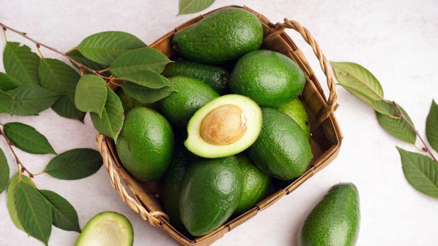 Imagem de vários abacates