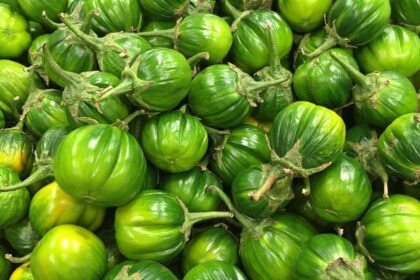 Imagem de vários jilós