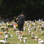 Cães e gatos podem ser sepultados em jazigos familiares em São Paulo