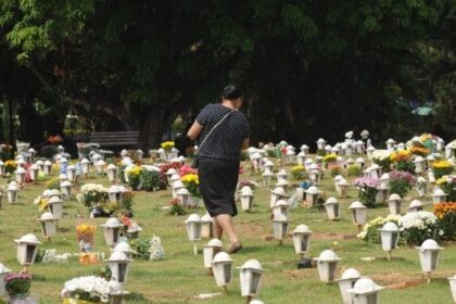 Cães e gatos podem ser sepultados em jazigos familiares em São Paulo