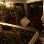 Chuvas fortes deixam 64 mortos em Juiz de Fora e Ubá