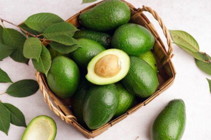 Foto mostra abacates dentro de uma cesta em cima da mesa.