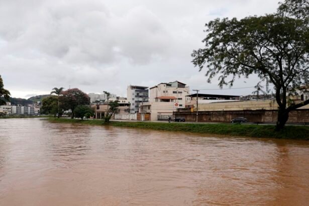 Juiz de Fora e Ubá somam 40 mortes devido aos temporais