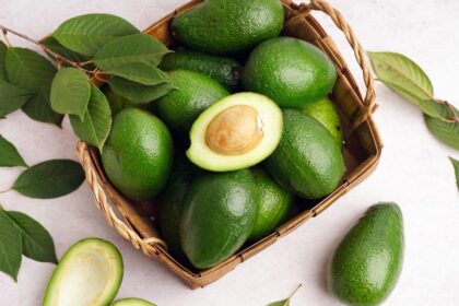 Foto mostra abacates verdes dentro de um cesta e com folhas de abacate ao lado.