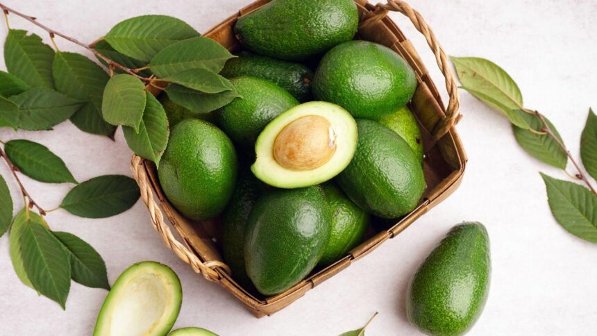 Foto mostra abacates verdes dentro de um cesta e com folhas de abacate ao lado.