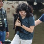 Senado aprova política de proteção a animais resgatados em desastres