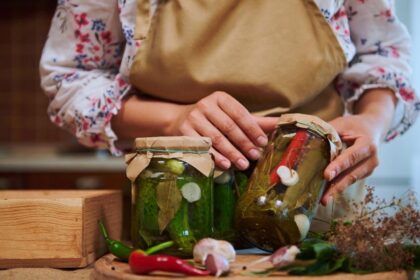 Probiótico caseiro: como fazer sua própria conserva em casa