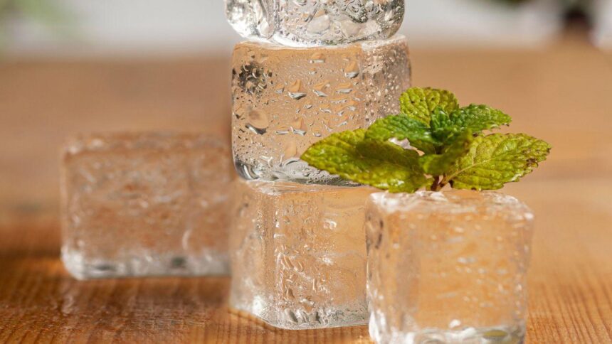 Gelo com ervas te ajuda a economizar tempo e manter sabor