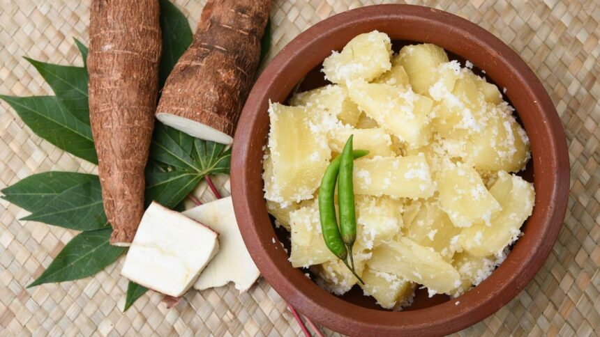 Imagem de mandioca cozida em um pote marrom escuro com raízes de mandioca do lado