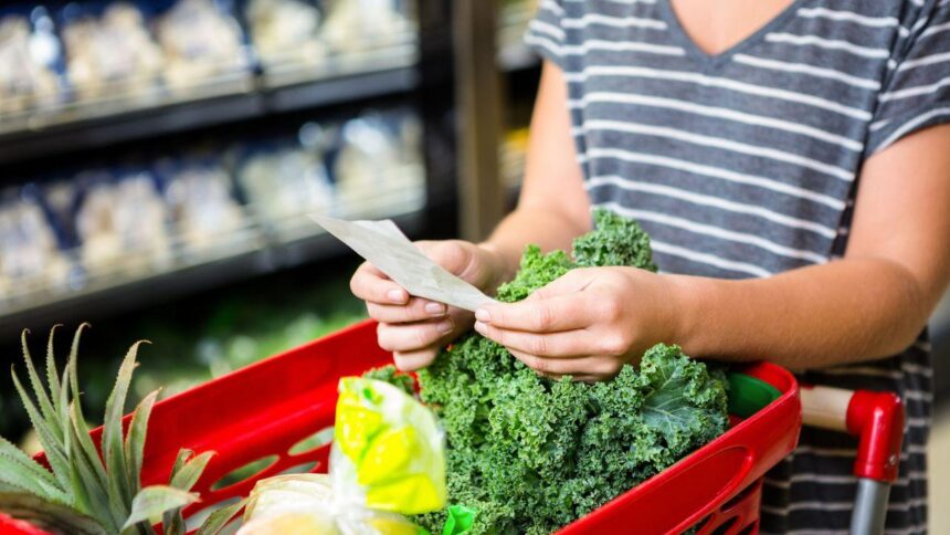 estratégias para economizar morando sozinho