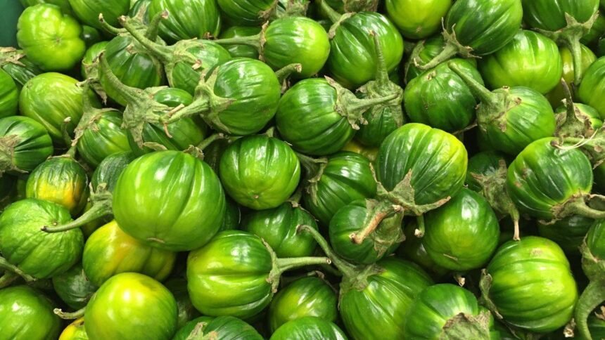 Sal ou vinagre ajudam a tirar o amargor do jiló e da berinjela rapidamente