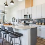 Formigas invadindo a cozinha? Veja como acabar com isso de vez