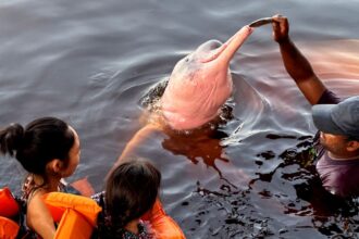 Insegurança é barreira para 62% das mulheres viajarem sozinhas
