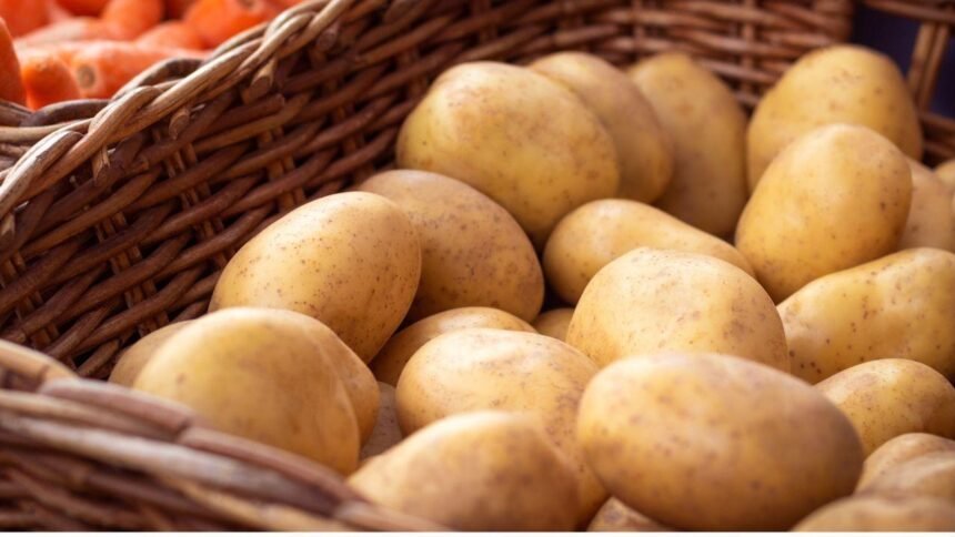Guardar batatas e cebolas juntas acelera a deterioração dos alimentos