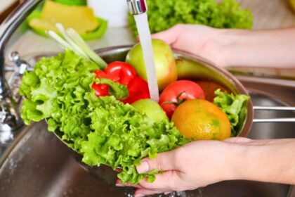 Salada murcha? Aprenda a conservar folhas na geladeira por mais tempo
