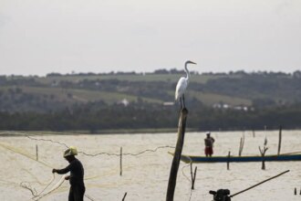 Sexto lote do seguro-defeso será disponibilizado na terça-feira