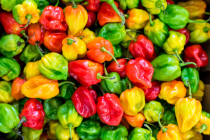 Guia da pimenta: como transformar seus pratos com o tempero certo