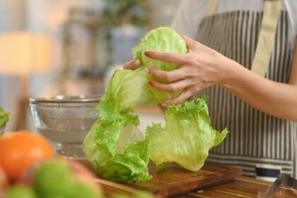 Água gelada pode ajudar a recuperar folhas de alface que ficaram murchas