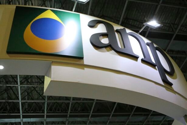 ANP regulamenta cálculo para importação do gás liquefeito de petróleo