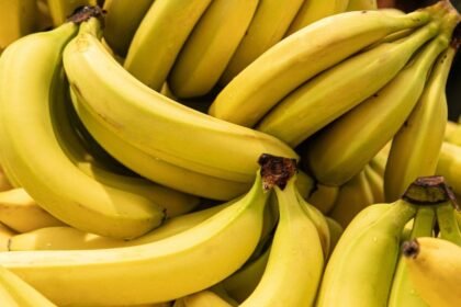 Imagem de vários cachos de banana
