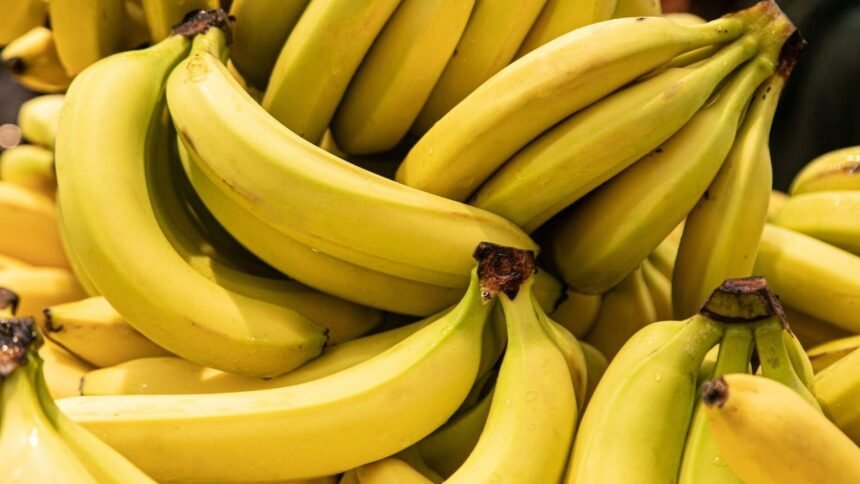 Imagem de vários cachos de banana