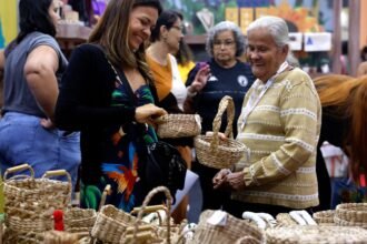 Brasil já tem 4,5 milhões de empreendedores da Economia Prateada