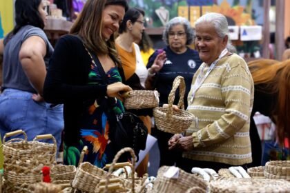 Brasil já tem 4,5 milhões de empreendedores da Economia Prateada
