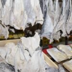 Consumidor deve ficar atento à qualidade do bacalhau na Semana Santa