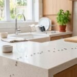 Diga adeus às formigas: como eliminar formigueiros na cozinha