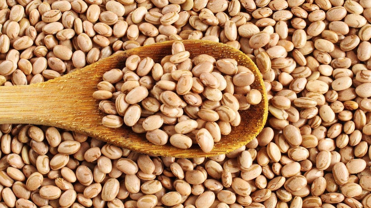 Imagem de grãos de feijão com uma colher de pau com uma porção dos grãos