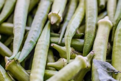 Garantia-Safra: veja lista dos que receberão pagamento em abril