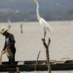 Mudanças aprovadas para o seguro-defeso previnem fraudes, diz relator