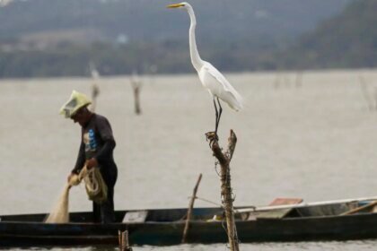 Mudanças aprovadas para o seguro-defeso previnem fraudes, diz relator