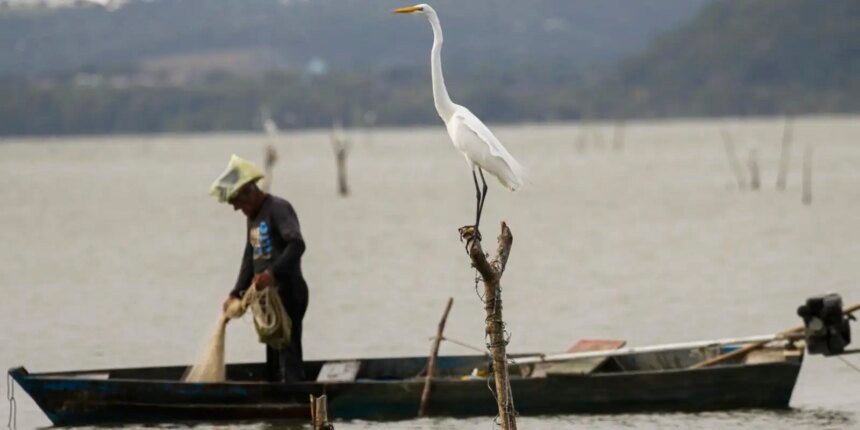Mudanças aprovadas para o seguro-defeso previnem fraudes, diz relator