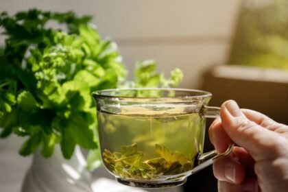 Foto mostra uma xícara de chá verde com folhas de hortelã ao lado.