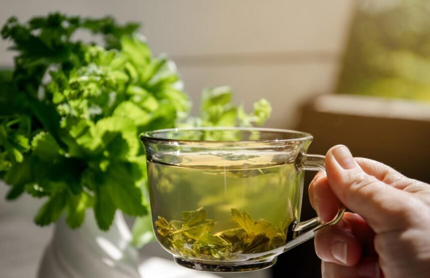 Foto mostra uma xícara de chá verde com folhas de hortelã ao lado.