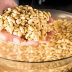 O remolho do feijão ajuda a reduzir gases e melhora o cozimento