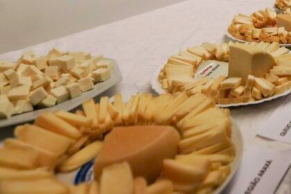 Brasil começa a importar queijo mais barato após acordo Mercosul–UE