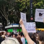 Cão Orelha: Justiça arquiva caso a pedido do Ministério Público