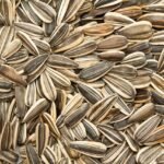 Semente de girassol pode ajudar na saúde do coração e ainda trazer mais crocância para as receitas.