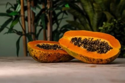 O mamão possui uma enzima natural que ajuda a deixar a carne mais macia