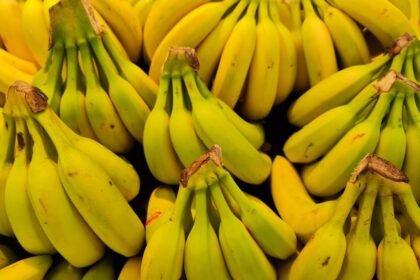Dura mais: o jeito certo de guardar banana para evitar que amadureça rápido
