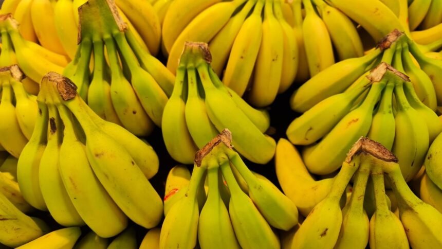 Dura mais: o jeito certo de guardar banana para evitar que amadureça rápido
