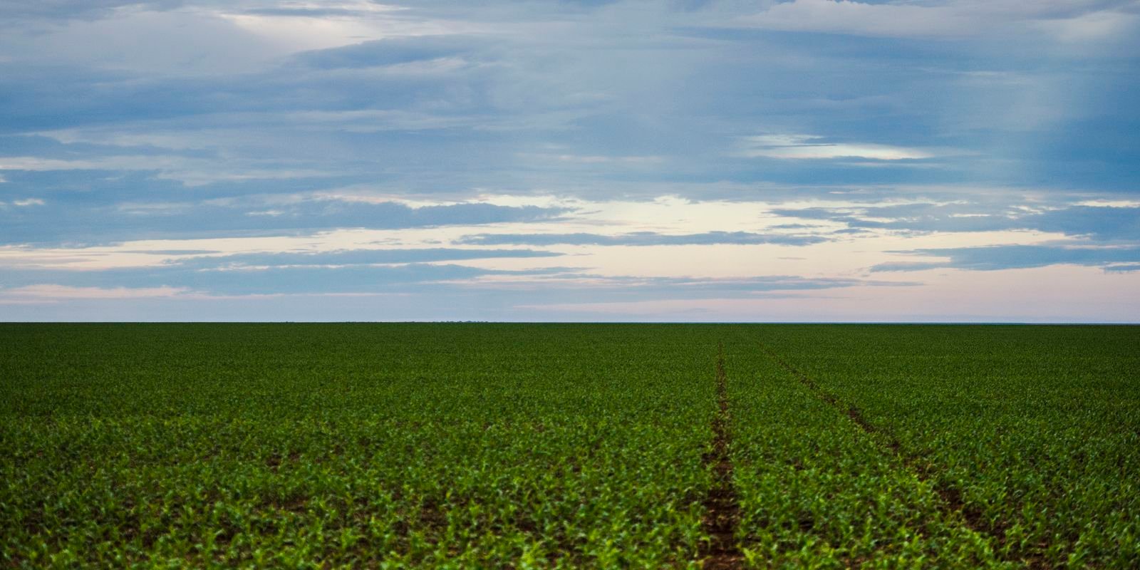 Fazenda estuda Fundo Garantidor para dívidas rurais