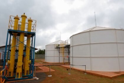 Gás natural: Conselho reduz meta de descarbonização do setor para 0,5%